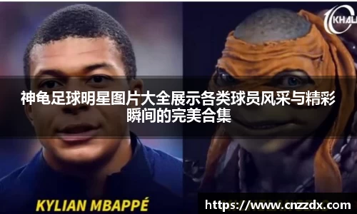 神龟足球明星图片大全展示各类球员风采与精彩瞬间的完美合集